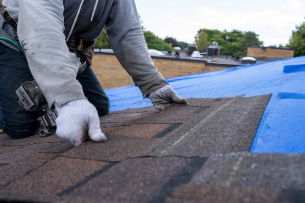 Best Metal Roofing Contractor  in Carleton, MI