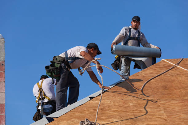 Best Roof Waterproofing Services  in Carleton, MI