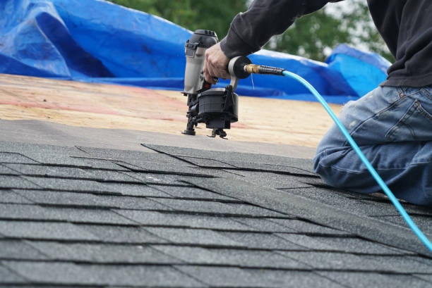 Best Gutter Installation and Roofing  in Carleton, MI