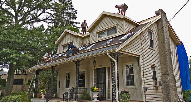 Best Roof Leak Repair  in Carleton, MI