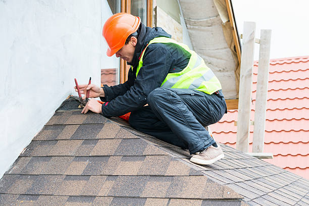 Best Roof Maintenance Services  in Carleton, MI