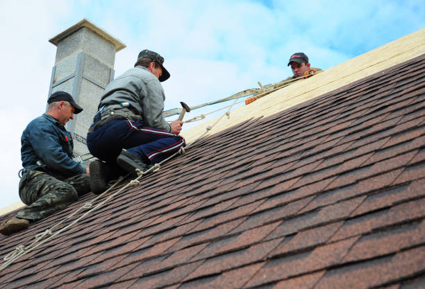 Best Roof Installation Near Me  in Carleton, MI