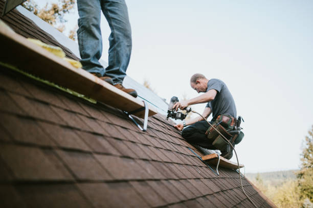Best Local Roofing Companies  in Carleton, MI