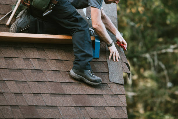 Best Roof Restoration Services  in Carleton, MI