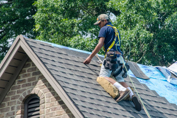 Best New Roof Installation  in Carleton, MI